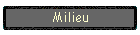 Milieu